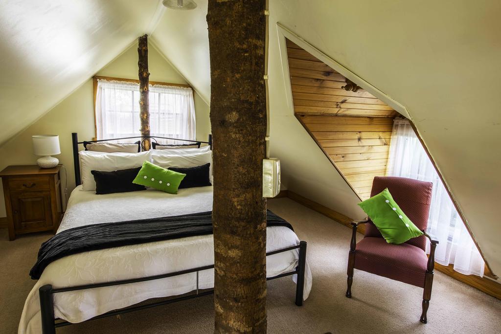 Touchwood Cottages ستانلي المظهر الخارجي الصورة